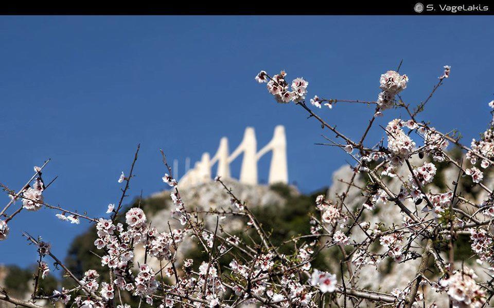 Hotel Fotini Mítikasz Kültér fotó